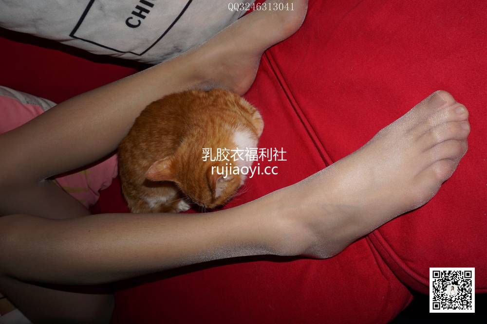 [大生模拍] No.075 灰丝高跟小野猫 [101P1V435MB]