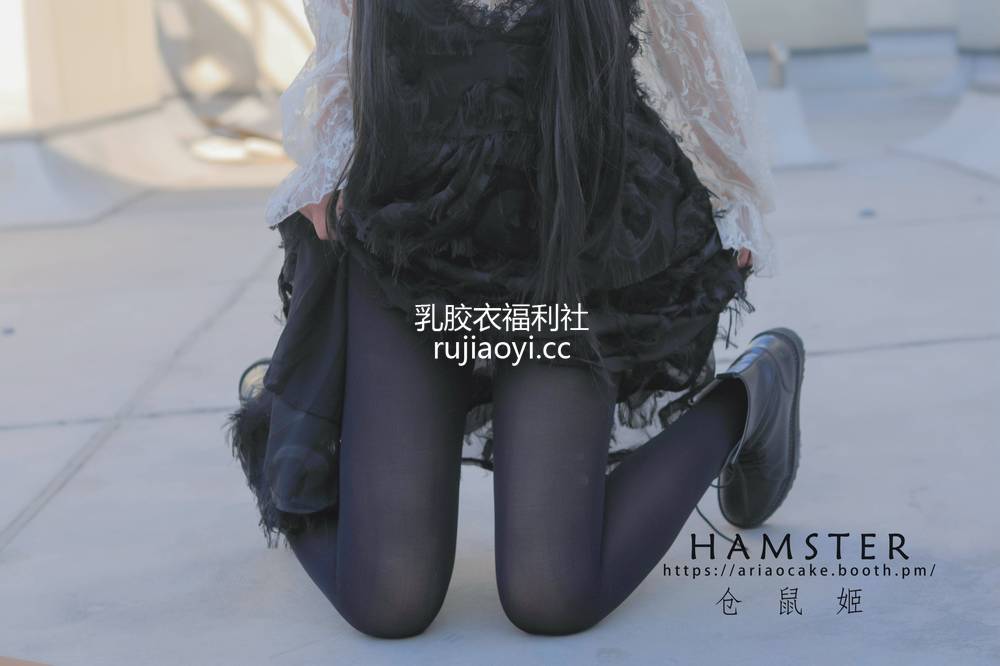 [网红杂图] 仓鼠姬 – 天台少女 [90P2V516MB]