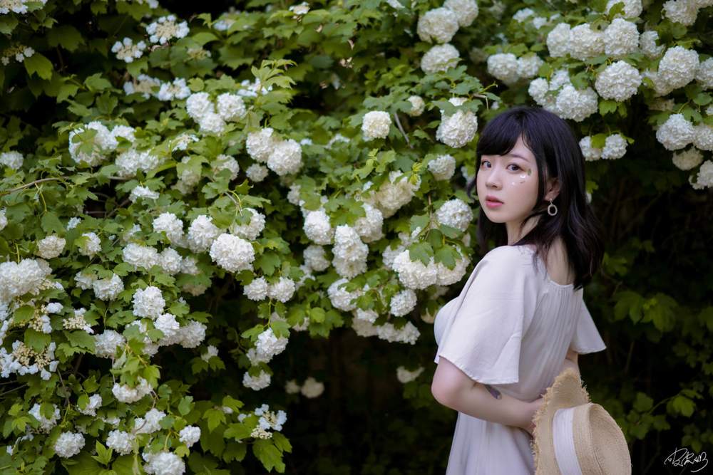 [网红杂图] 皮皮奶可可爱了啦 – 绣球花 [36P661MB]