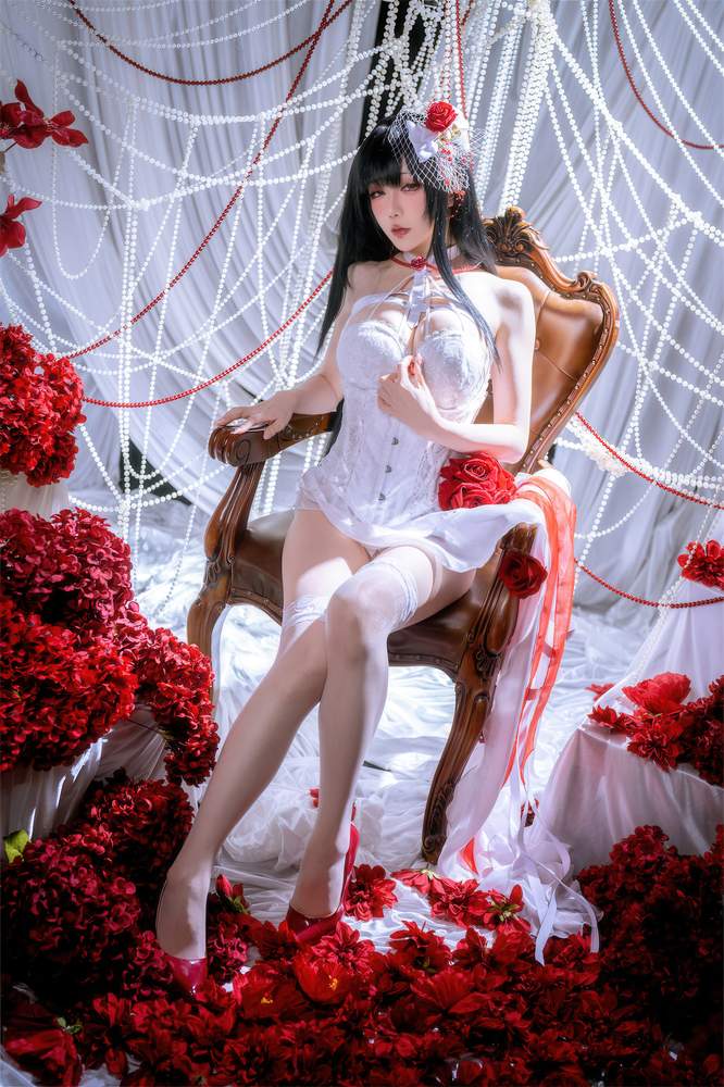 [网红杂图] 星之迟迟 – Nikke米哈拉 羁绊锁链 [45P205MB]